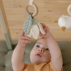 Little Dutch Wooden Baby Gym - Little Goose -Little Dutch Shop 0011861 babygym little goose 1000