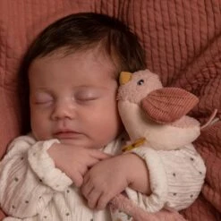 Little Dutch LD Cuddle Cloth Flowers & Butterflies -Little Dutch Shop 0014089 little dutch cuddle cloth flowers butterflies flowers butterflies 1