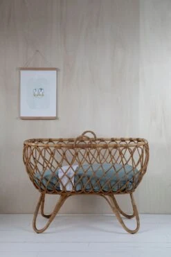 Little Dutch Bear And Penguins Poster