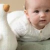 Little Dutch Little Goose Roly Poly -Little Dutch Shop U83823s
